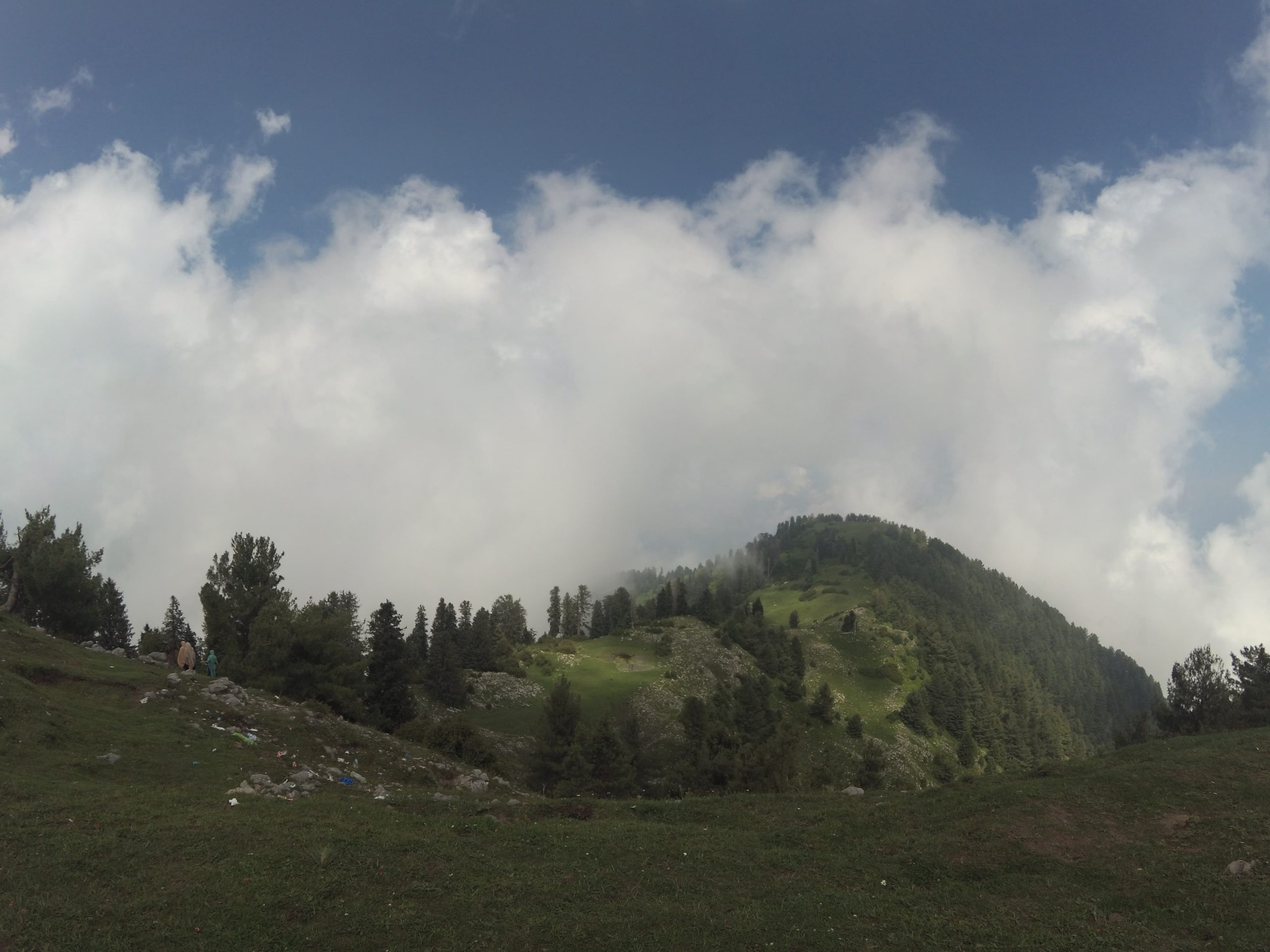 Mushkpuri top in Pakistan